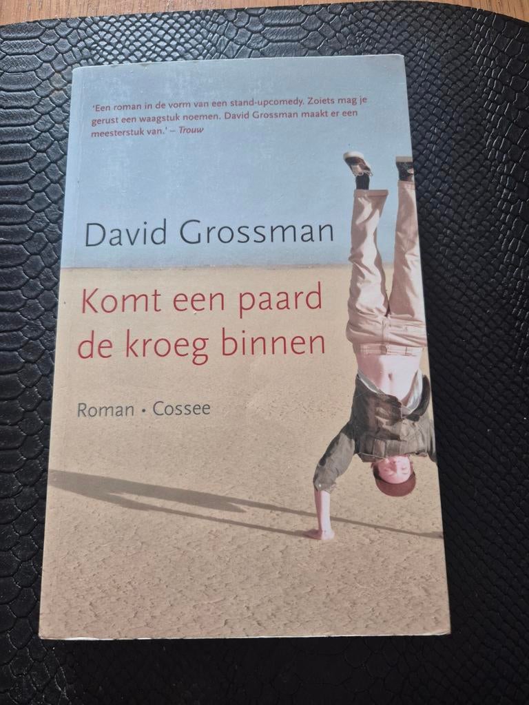 David Grossman - Komt een paard de kroeg binnen, Ophalen of Verzenden, Zo goed als nieuw, David Grossman