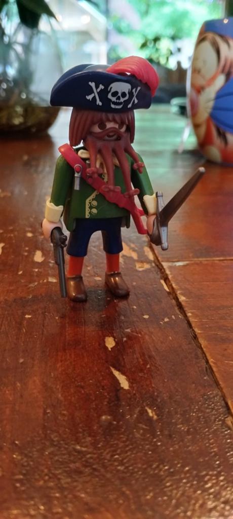 Piraat playmobil, Kinderen en Baby's, Speelgoed | Playmobil, Ophalen of Verzenden, Zo goed als nieuw