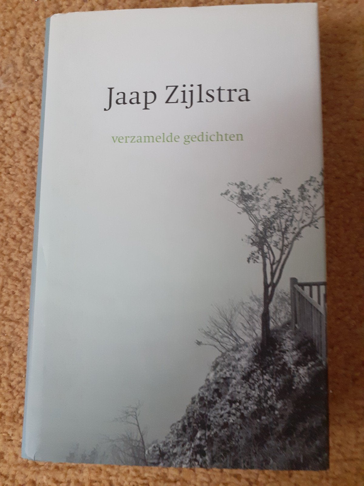 Verzamelde gedichten - Jaap Zijlstra, Ophalen of Verzenden, Zo goed als nieuw