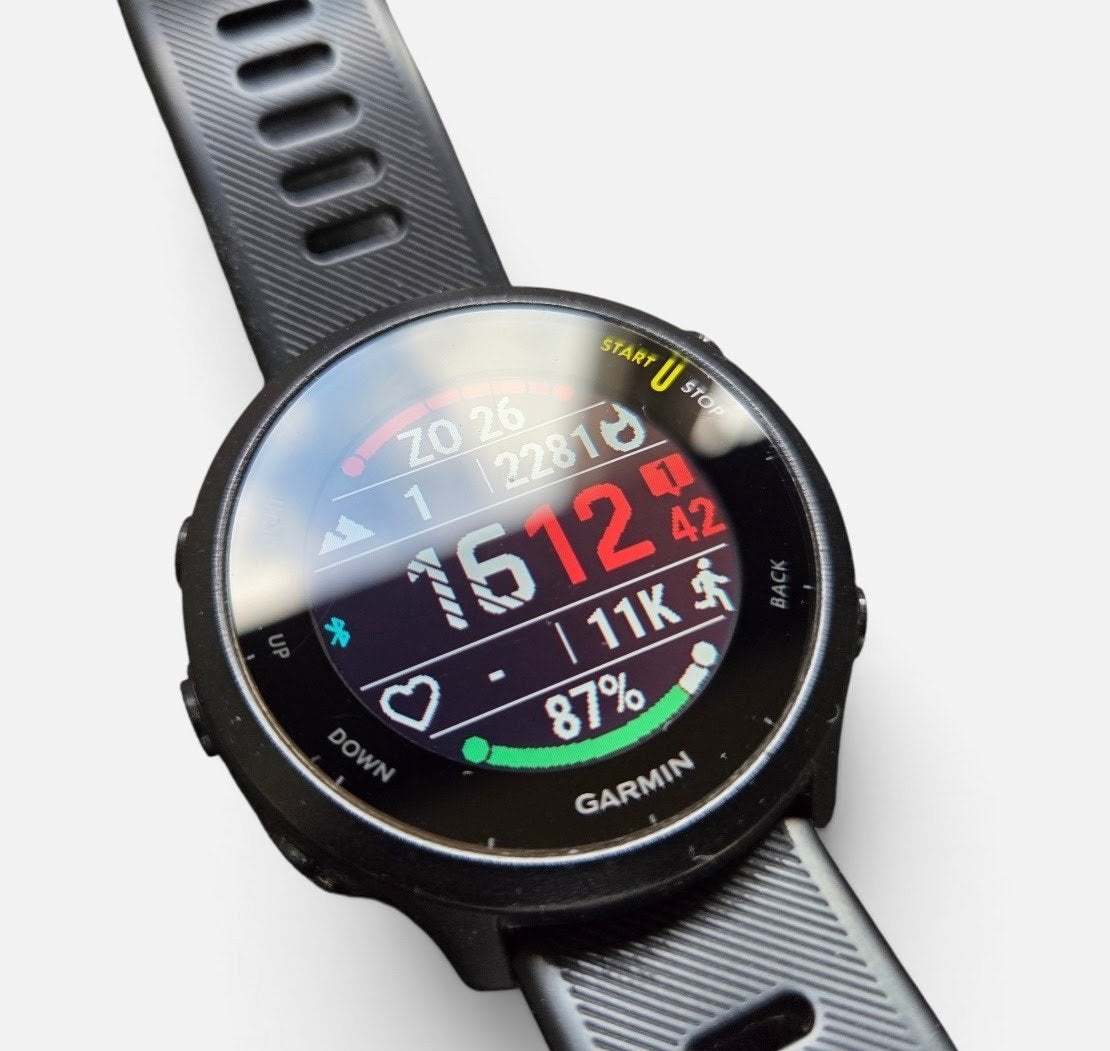 Garmin Forerunner 55 GPS Hardloophorloge Zwart, Ophalen, Zwart, Garmin, Zo goed als nieuw
