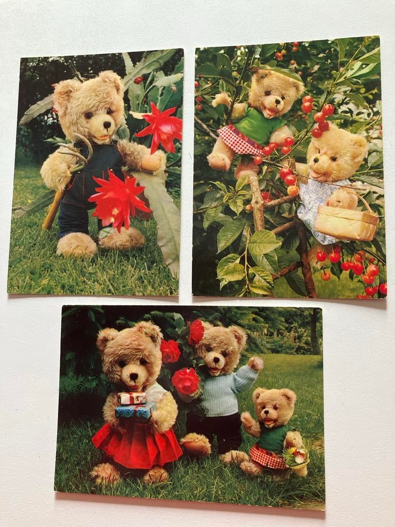 3 Vintage Ansichtkaarten Teddyberen - Jaren '60 tot '80, Ophalen of Verzenden, 1960 tot 1980, Ongelopen, Noord-Holland