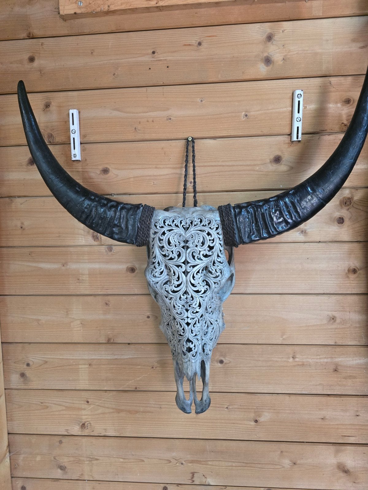 Prachtig gesneden buffelschedel wanddecoratie, Ophalen