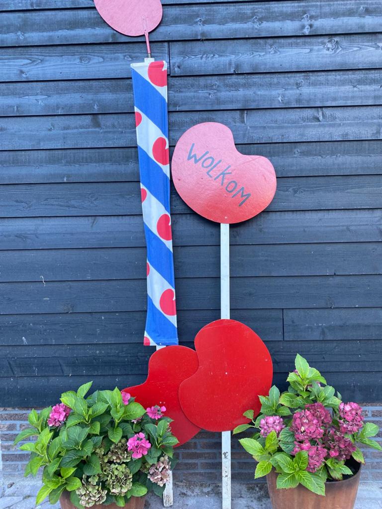 Feestpalen, Ophalen of Verzenden