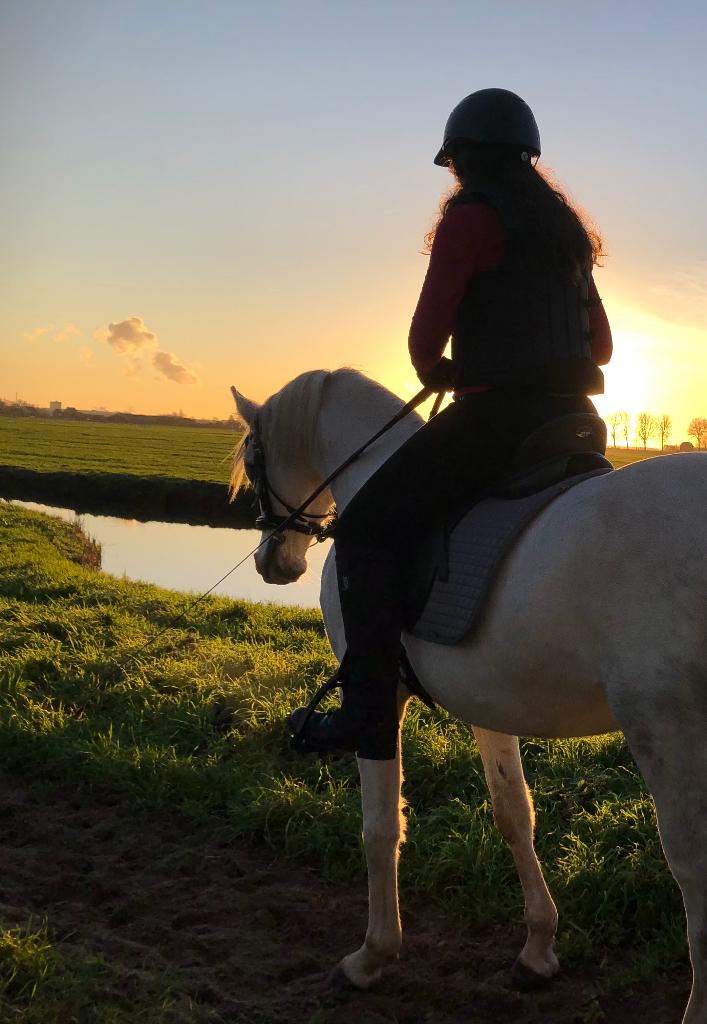 Verzorger/bijrijder gezocht (18+), Ophalen