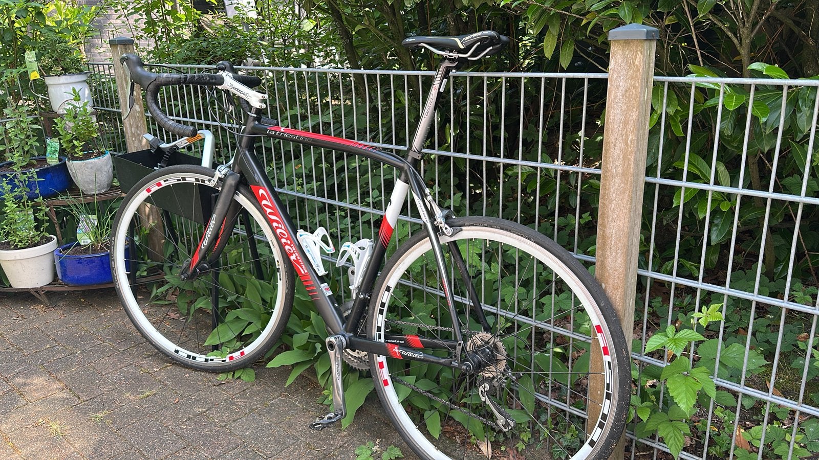 Wilier Triestina Racefiets (Maat XL) – Shimano Tiagra, Aluminium, Zo goed als nieuw, Meer dan 20 versnellingen, Ophalen