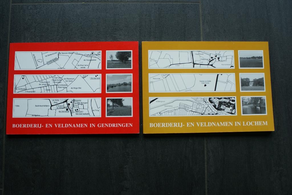 BOERDERIJ- en VELDNAMEN IN: GENDRINGEN / LOCHEM, Boeken, Geschiedenis | Stad en Regio, Ophalen of Verzenden, 20e eeuw of later