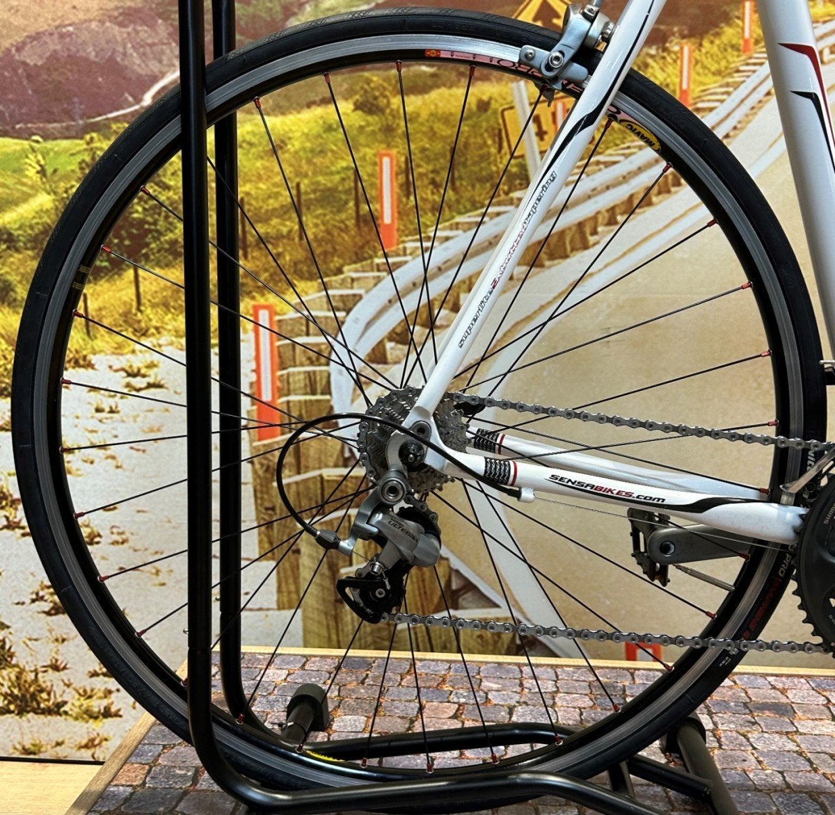 Sensa Romagna Heren Wit 62cm, Gebruikt, -, Heren, -