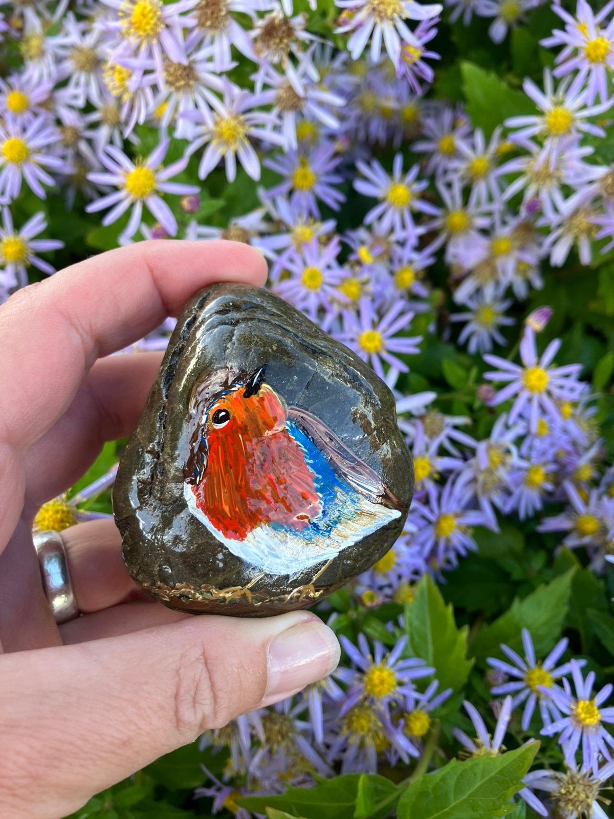 Beschilderde steen roodborstje, Hobby en Vrije tijd, Ophalen of Verzenden, Zo goed als nieuw