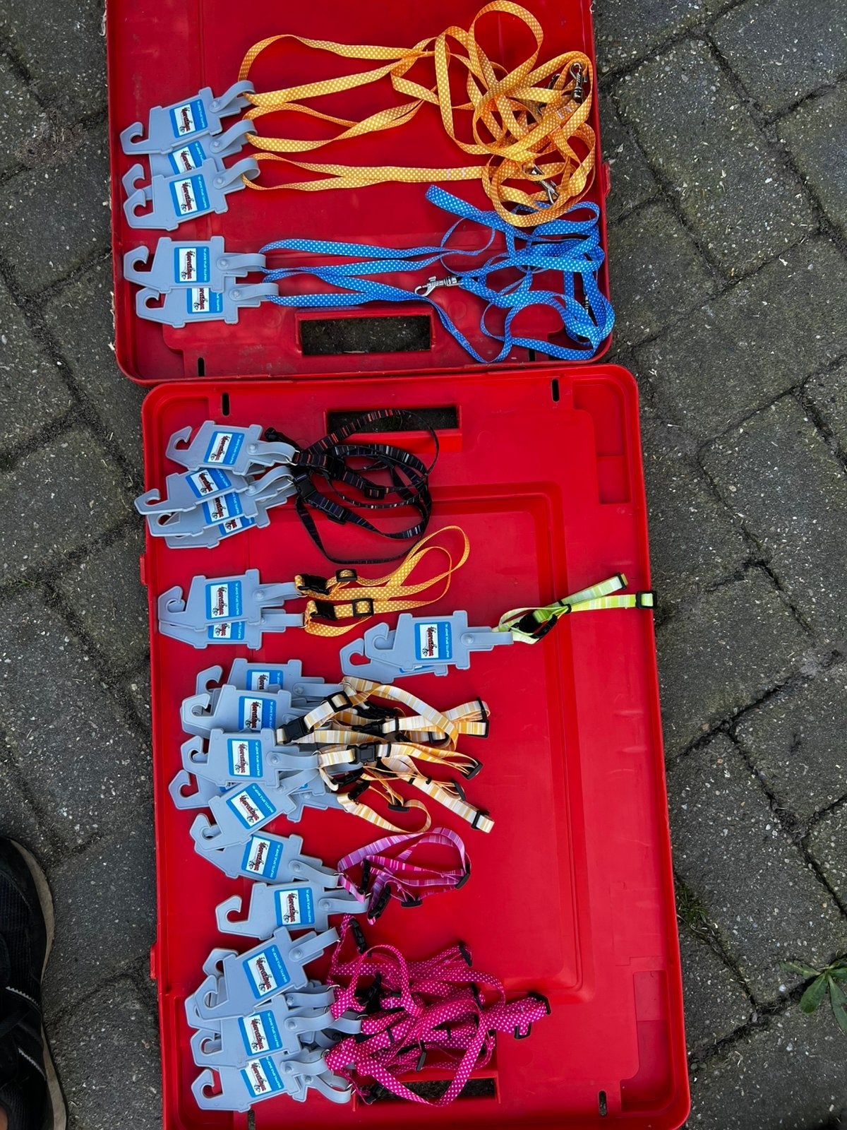 Partij halsbanden en riemen, Dieren en Toebehoren, Ophalen of Verzenden, Nieuw
