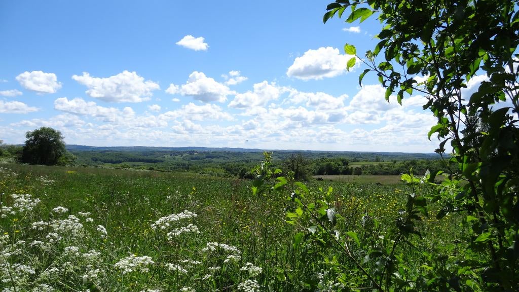 Bouwkavel + Bouwplan + Bouwvergunning in Dordogne, Frankrijk, Vakantie, Internet, Overige typen, Landelijk, Dordogne
