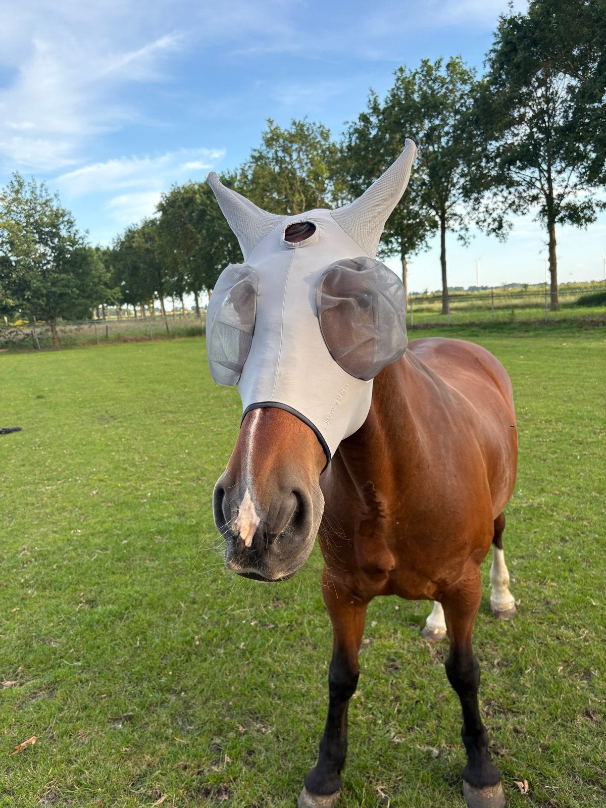 Vliegenmasker horsegear maat full, Ophalen of Verzenden, Zo goed als nieuw