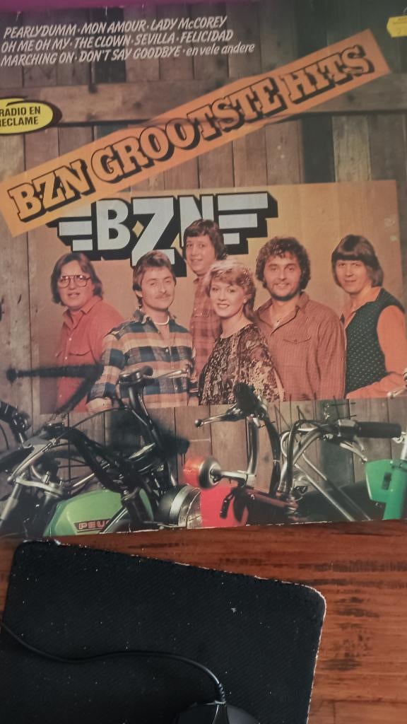 BZN  de grootste hits, Inclusief binnenhoes, Ophalen, Zo goed als nieuw, 12 inch