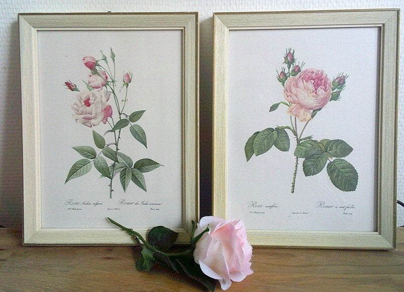 2x Vintage lijstjes met Botanische rozen brocante stijl, Ophalen of Verzenden