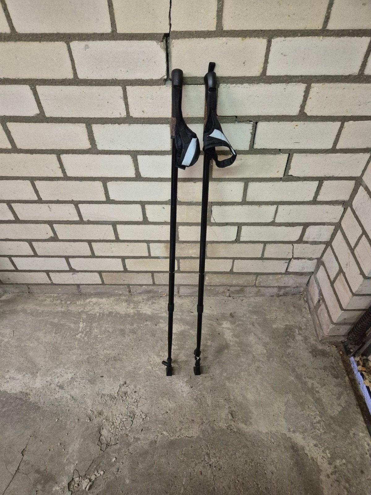 Twee mooie wandelstokken, Ophalen of Verzenden
