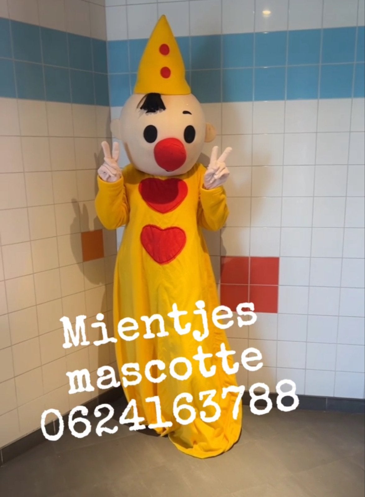 Bumba mascotte te huur, Ophalen of Verzenden, Gebruikt