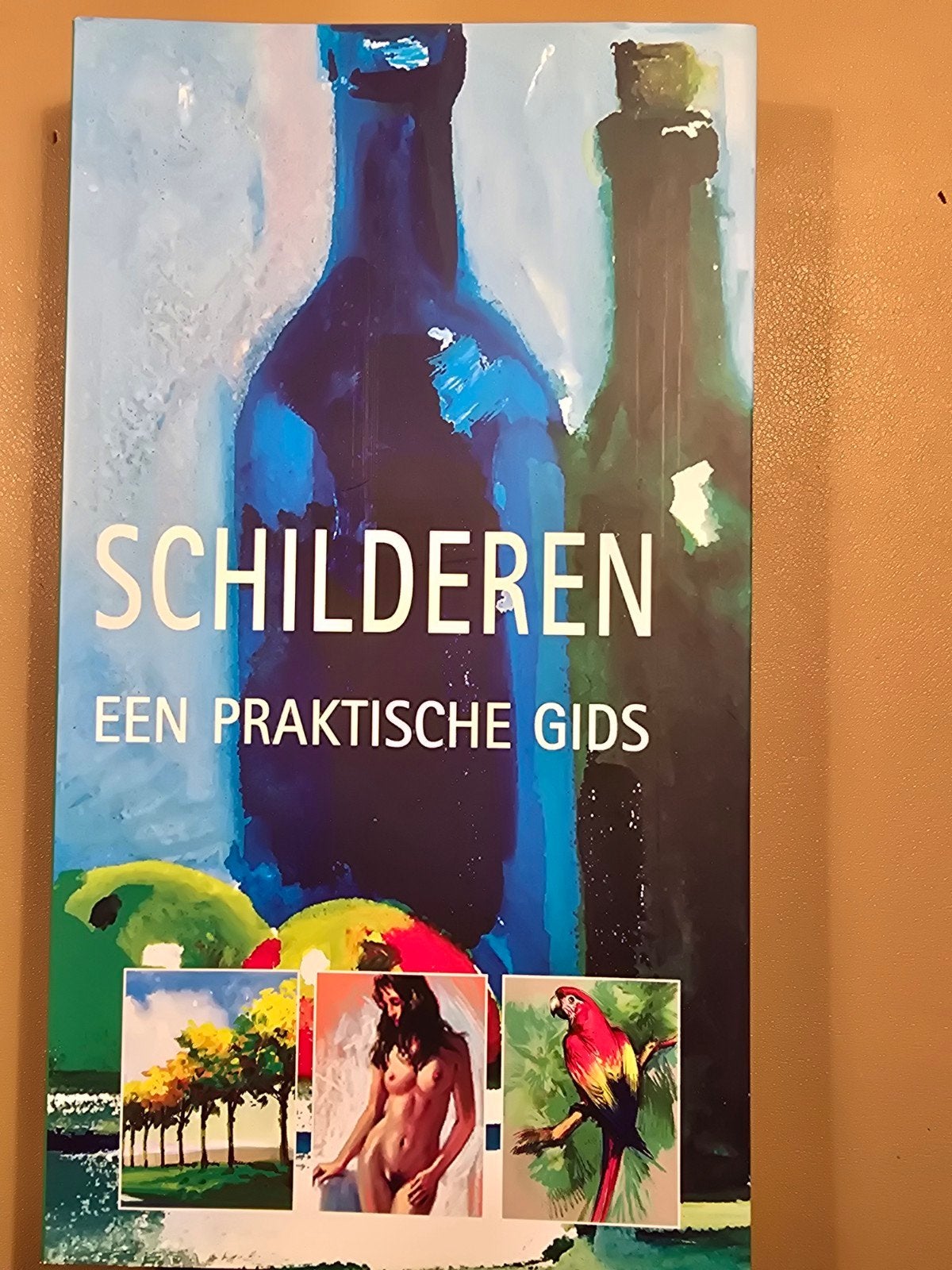 Schilderen: Een Praktische Gids voor Kunstliefhebbers, Boeken, Ophalen of Verzenden, Zo goed als nieuw, Schilder- en Tekenkunst