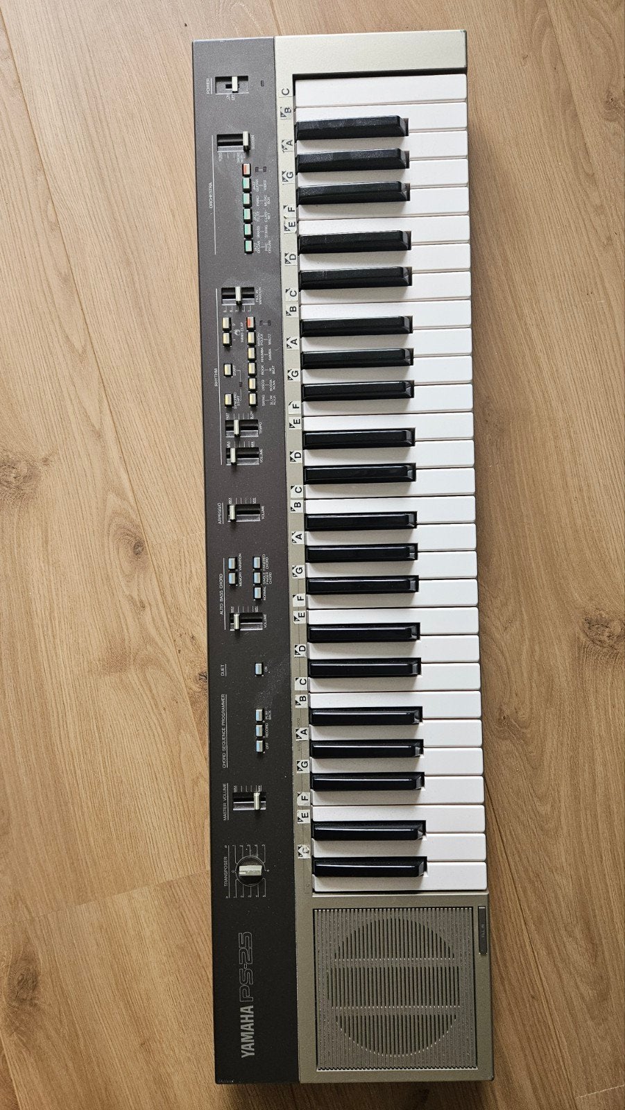 Yamaha PS-25 Keyboard met standaard en pedaal, Muziek en Instrumenten, Keyboards, Ophalen