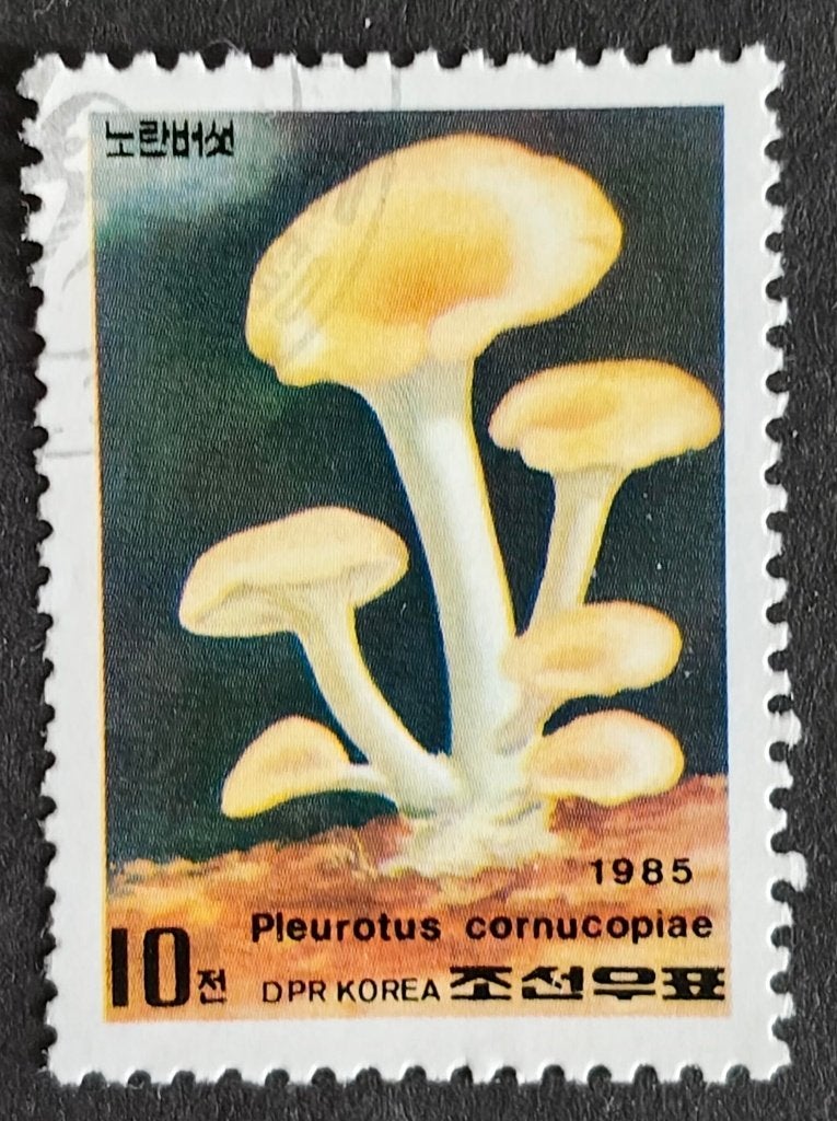 NOORD-KOREA - paddestoelen 1985, Verzenden, Gestempeld, Zuidoost-Azië