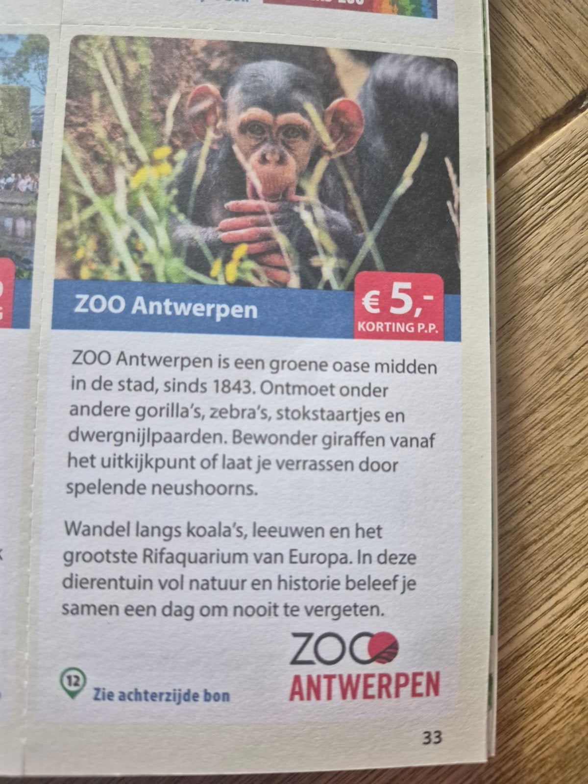 Zoo Antwerpen 5 euro korting p.p, Eén persoon, Kortingsbon