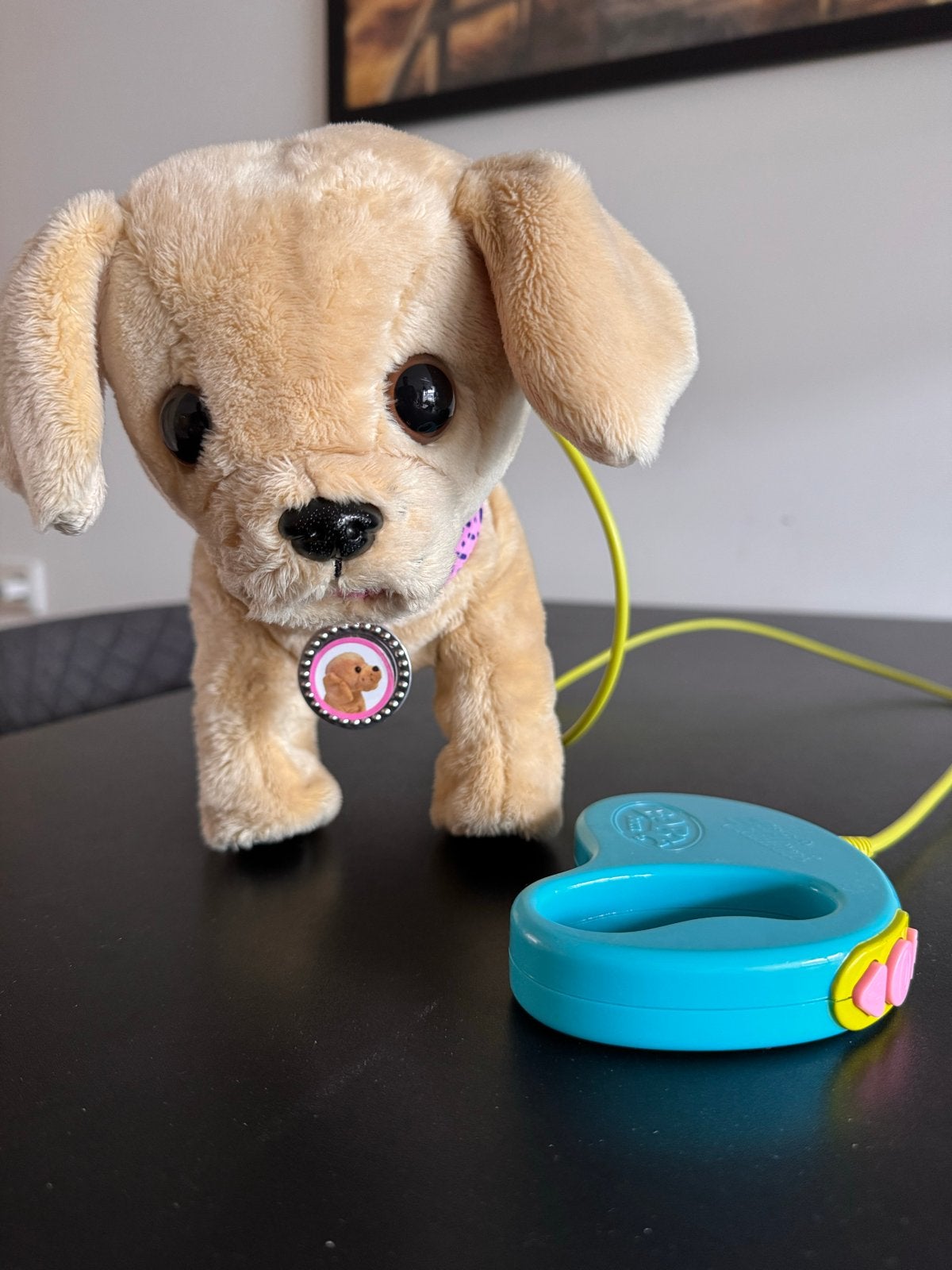 Baby Born My Lucky Dog (Zapf), Ophalen of Verzenden, Gebruikt, Overige typen