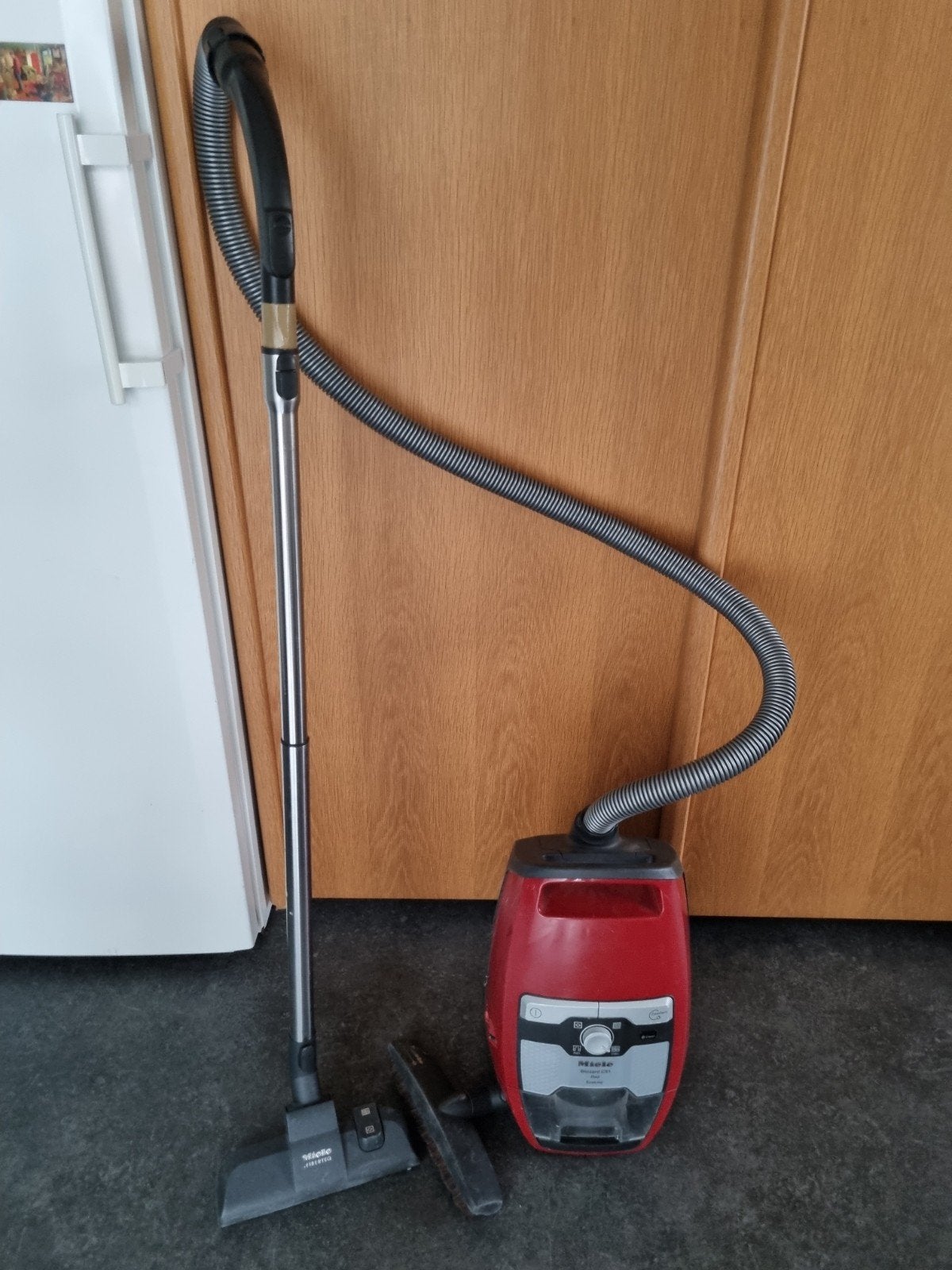 Miele Blizzard CX1 Red EcoLine sledestofzuiger, Witgoed en Apparatuur, Stofzuigers, Ophalen, Gebruikt, Geschikt voor harde vloeren