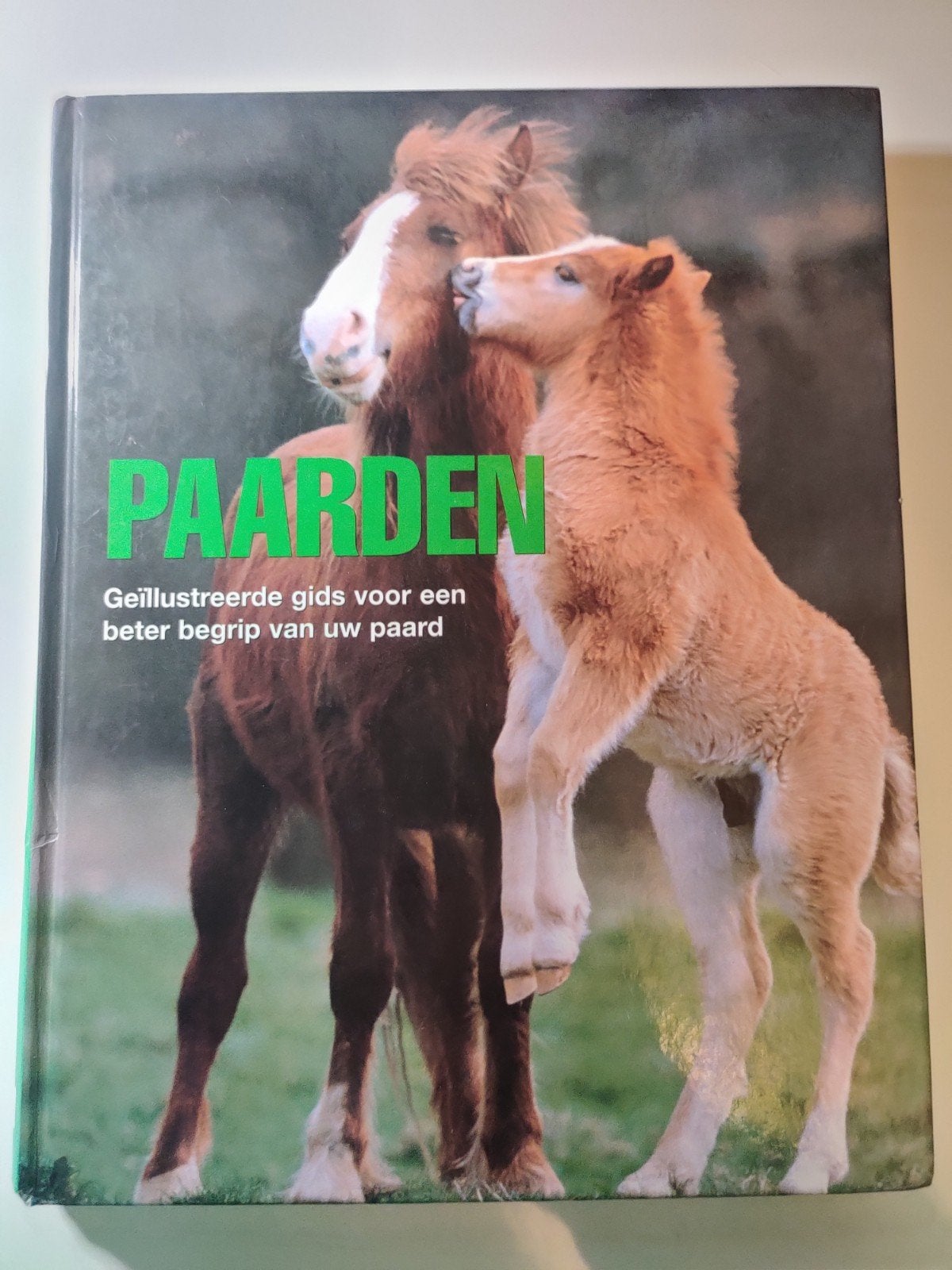 Paarden, geïllustreerde gids voor beter begrip van uw paard, Ophalen of Verzenden, Zo goed als nieuw, Paarden of Pony's