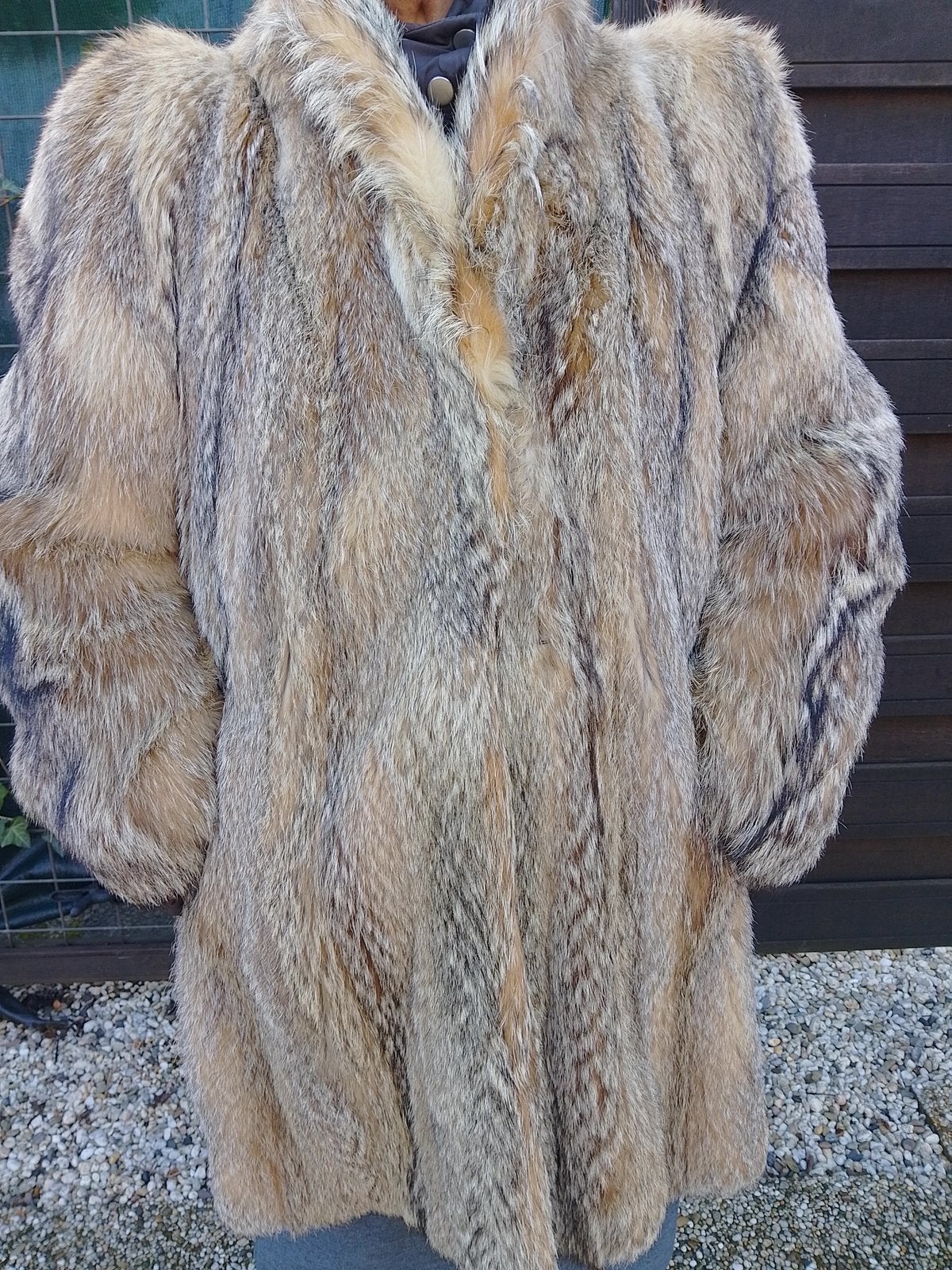 Bontjas saga fox, Kleding | Dames, Ophalen of Verzenden, Gedragen, Maat 46/48 (XL) of groter, Bruin