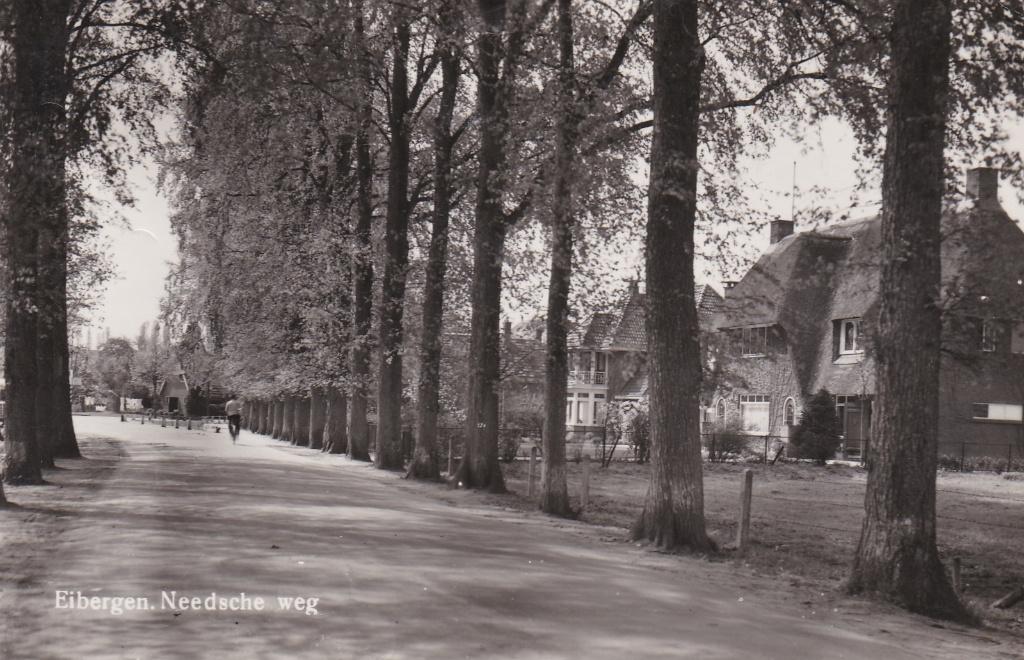 18383 Needsche weg Eibergen Achterhoek Borculo Ruurlo 1951, Verzenden, 1940 tot 1960, Gelopen, Gelderland