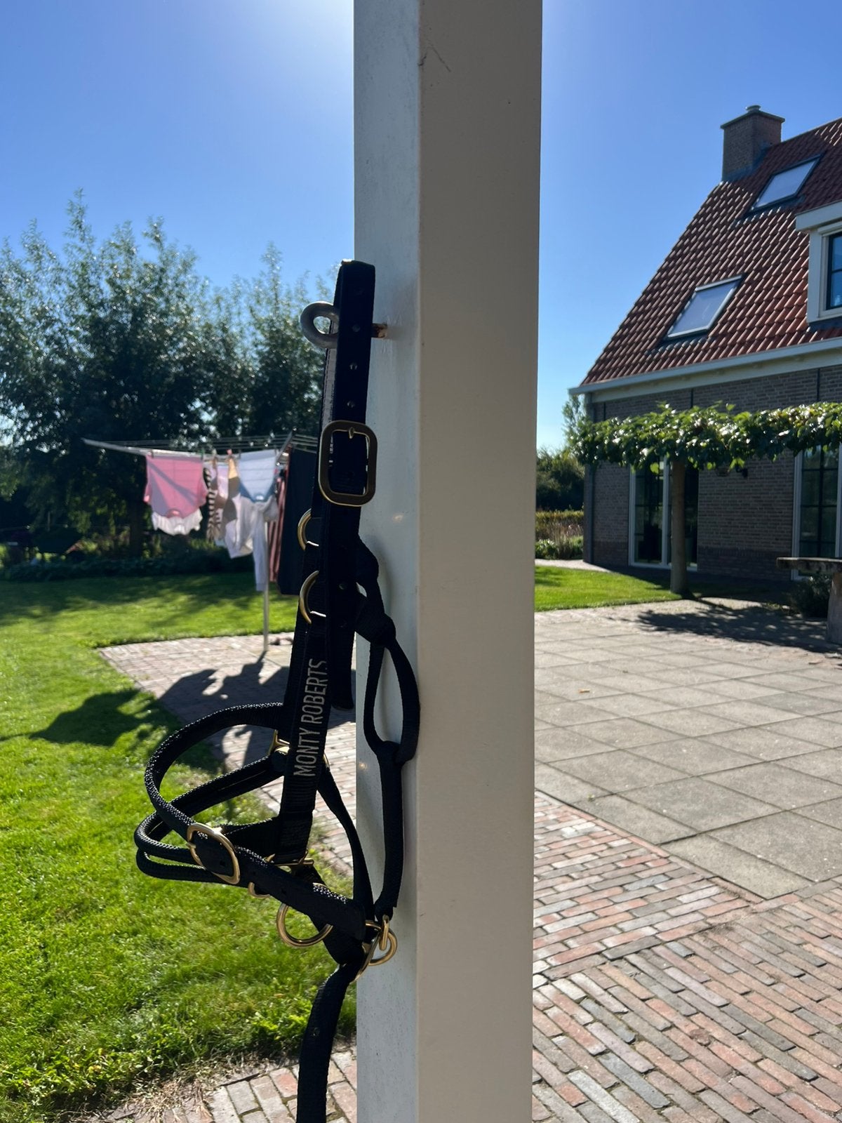 Monty Roberts Dually halster, Dieren en Toebehoren, Nieuw, Ophalen of Verzenden, Zwart, Halster