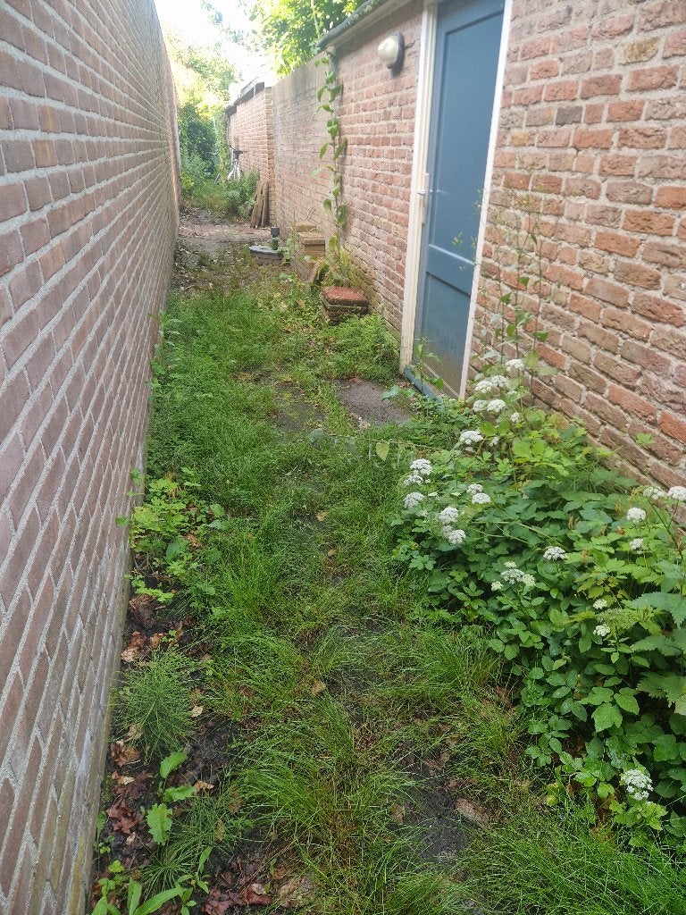 Tuinman stratenmaker landscaper, Garantie, Tuinonderhoud of Snoeiwerk