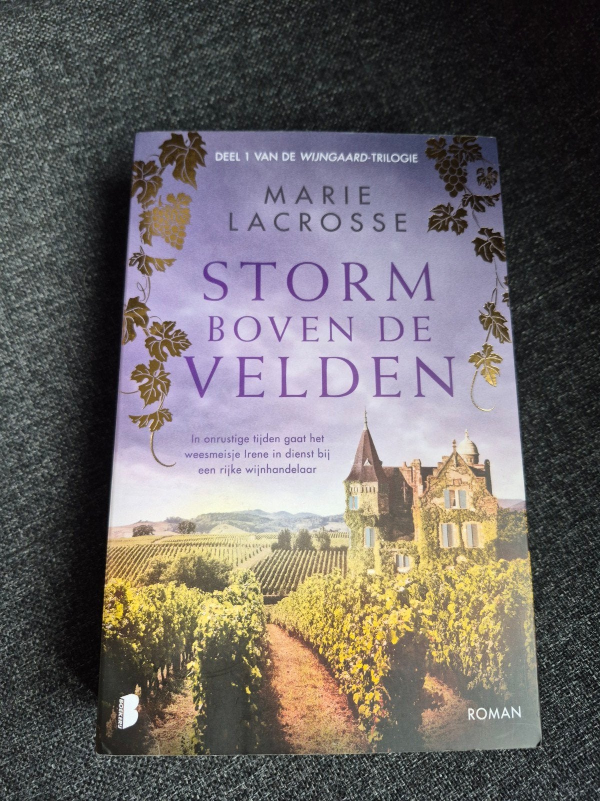 Storm Boven de Velden - Marie Lacrosse, Ophalen of Verzenden, Zo goed als nieuw, Marie Lacrosse, Europa overig