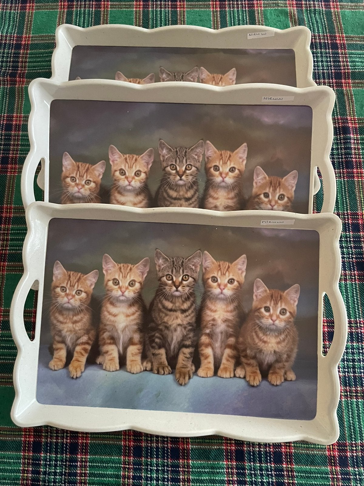 Dienbladen kittens katten poezen 3x NIEUW Francien’s Cats, Ophalen of Verzenden, Zo goed als nieuw, Rechthoekig, Hout