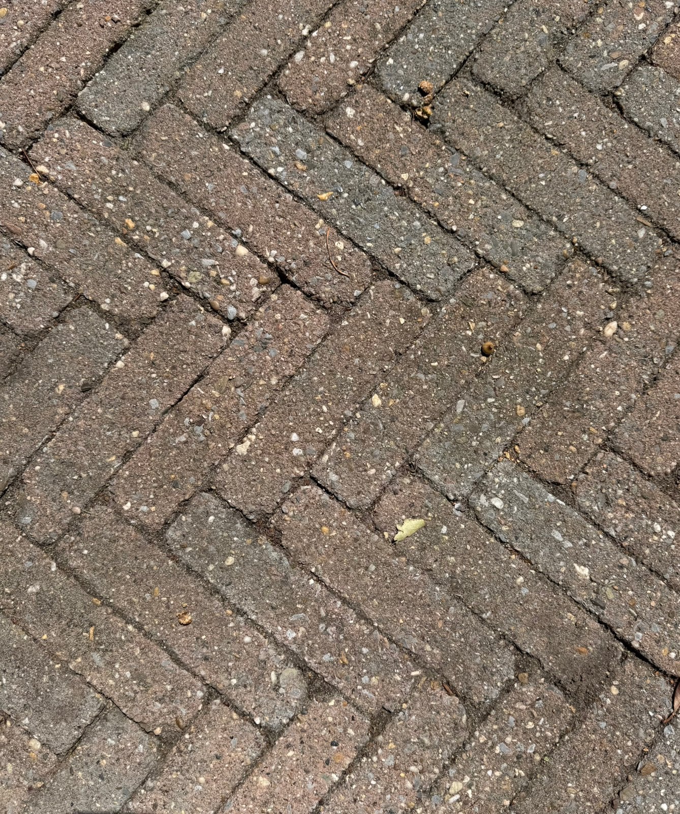 GRATIS ophalen, gebakken klinkers., Ophalen, Gebruikt, Beton, Klinkers