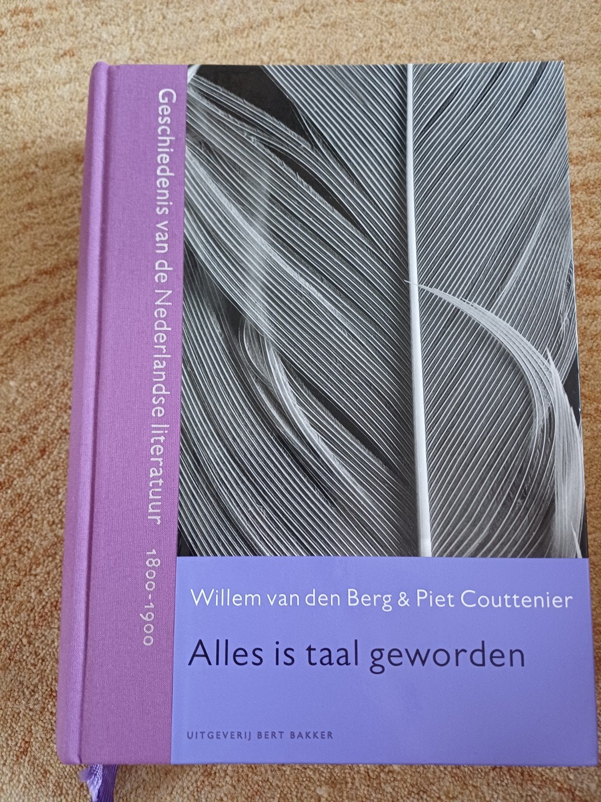Geschiedenis Nederlandse literatuur 1800-1900, Ophalen of Verzenden, Zo goed als nieuw, Willem van den Berg & Piet Couttenier