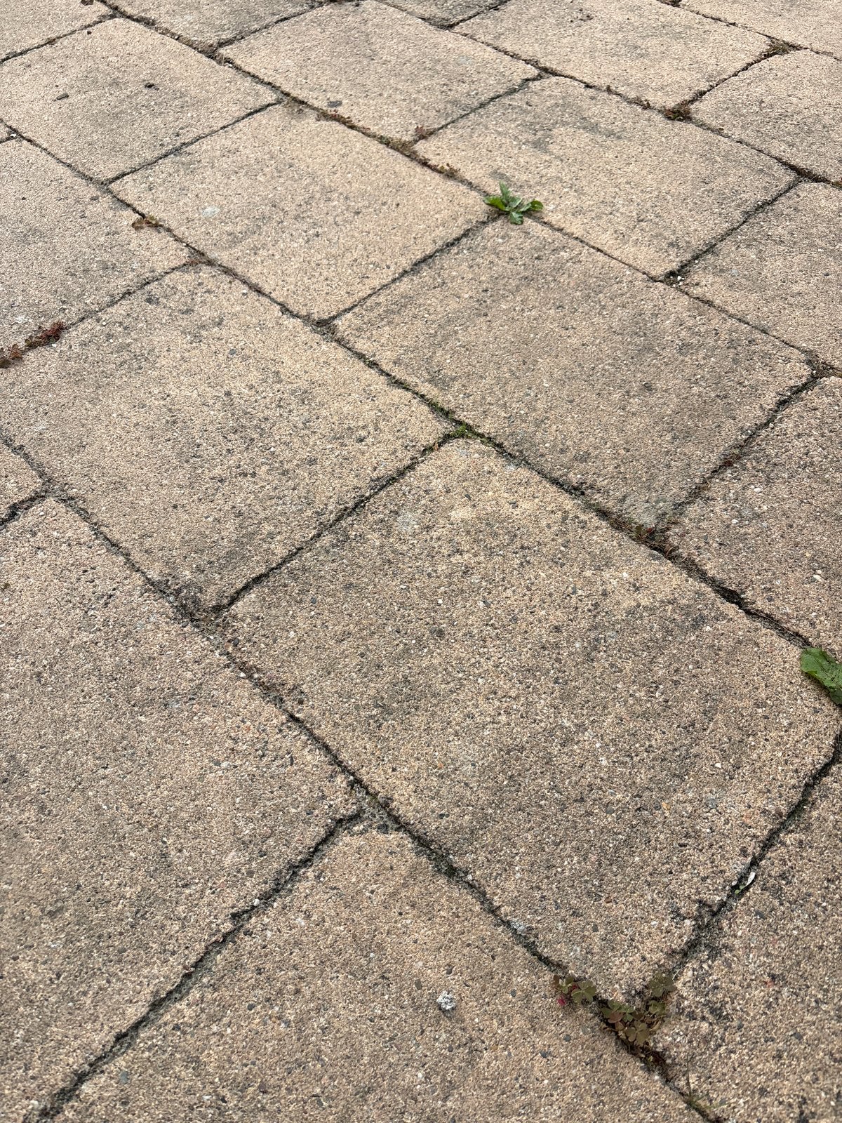 Gebruikte terrastegels - 40m², Tuin en Terras, Ophalen, Gebruikt, 10 m² of meer, Beton