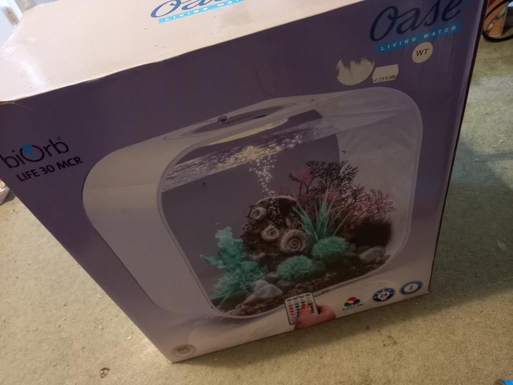 Aquarium, Ophalen of Verzenden, Nieuw