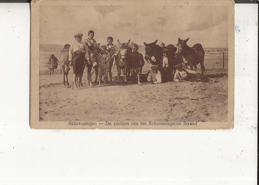 Scheveningen de ezeltjes van het Scheveningsche strand, Ophalen of Verzenden, Voor 1920, Ongelopen, Zuid-Holland