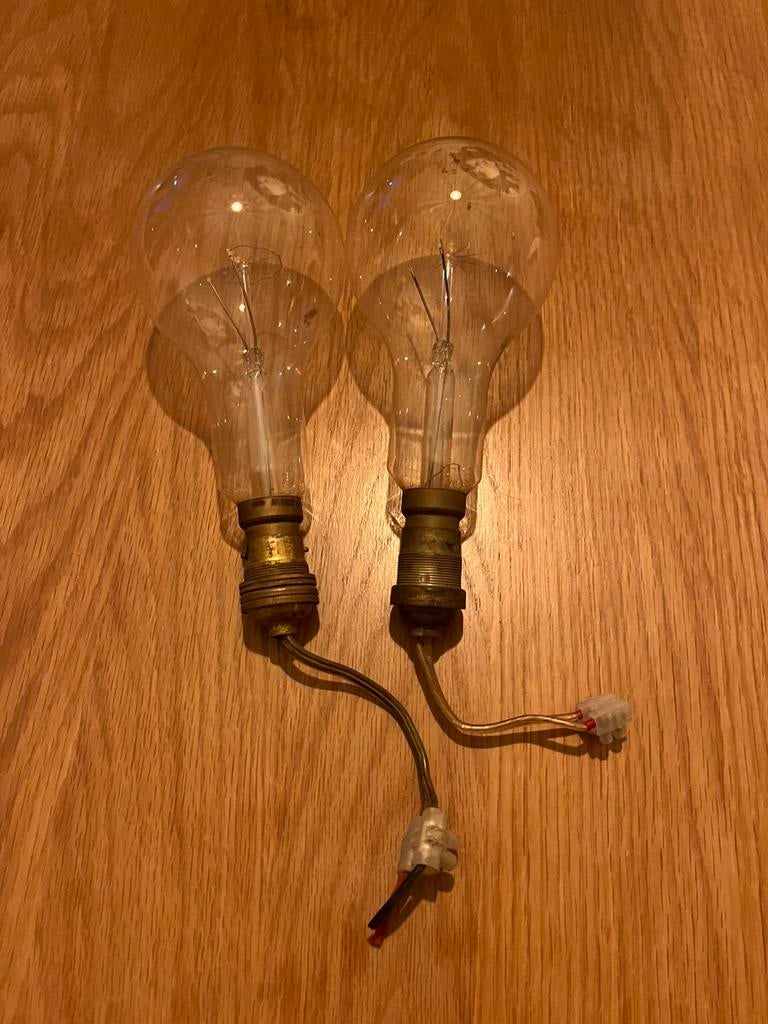 2 mooie oude gloeilampen 22 cm, Gloeilamp, 60 watt of meer, Ophalen of Verzenden, Zo goed als nieuw