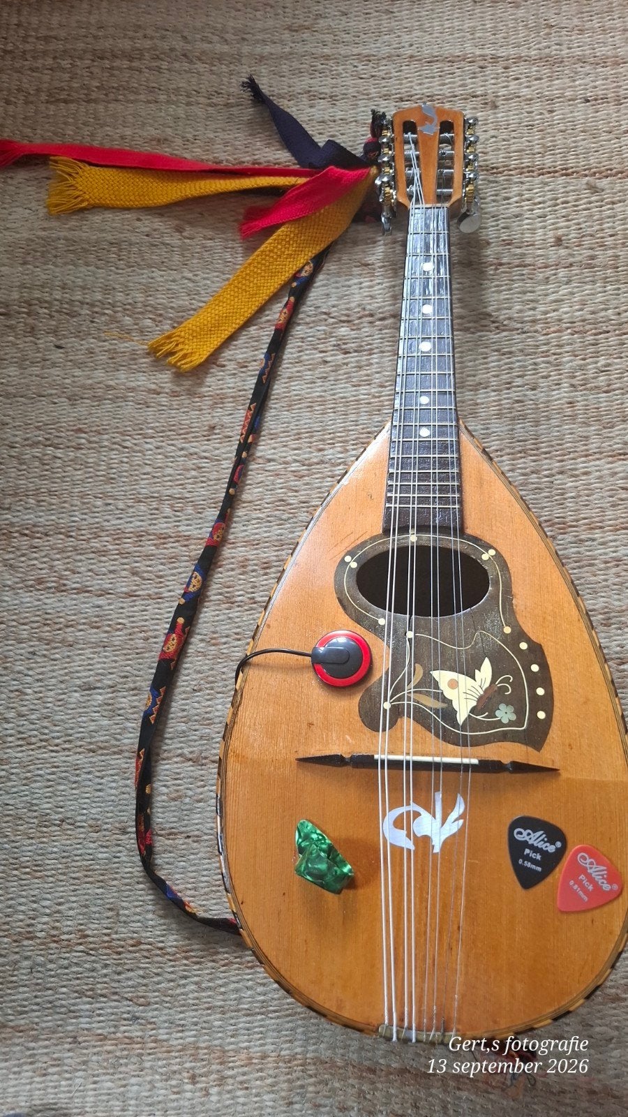 Elektrische bolle mandoline uit Italië gerestaureerd ca1920, Muziek en Instrumenten, Ophalen of Verzenden, Gebruikt