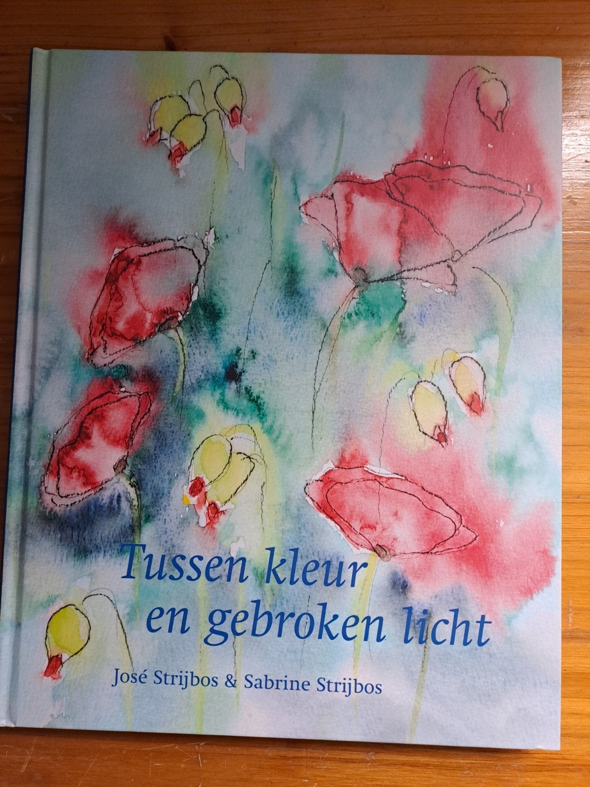 S. Strijbos - Tussen kleur en gebroken licht, Ophalen of Verzenden, Zo goed als nieuw, S. Strijbos; J. Strijbos