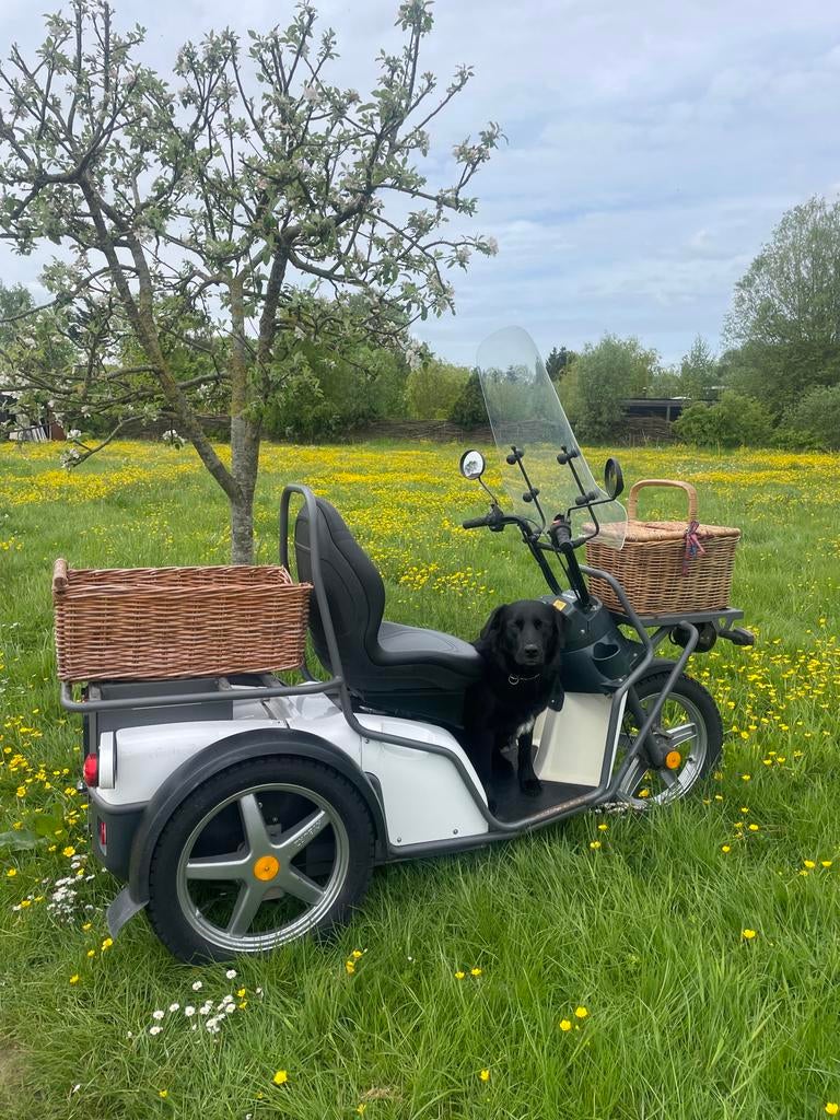 Elektrische Trike. Supercomfortabel, Snel en Sterk., Ophalen of Verzenden, Zo goed als nieuw, 50 km per accu of meer, Overige merken