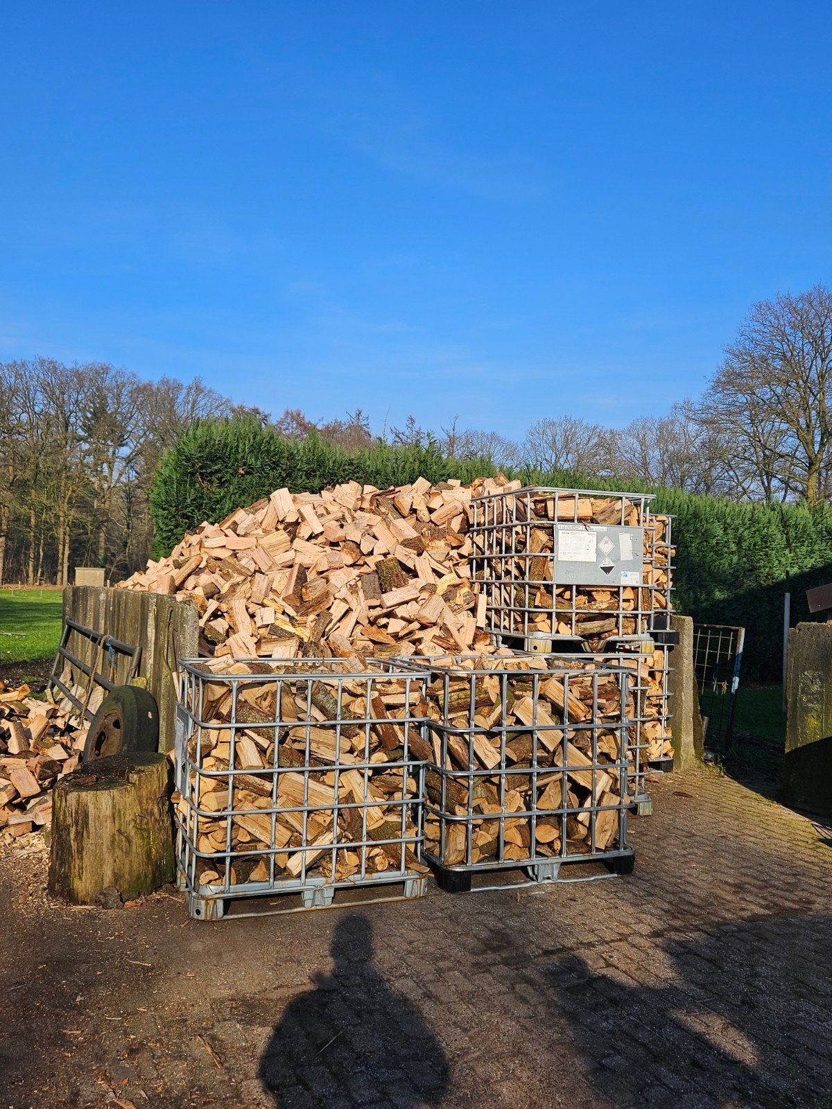 brandhout, Tuin en Terras, 6 m³ of meer, Ophalen of Verzenden