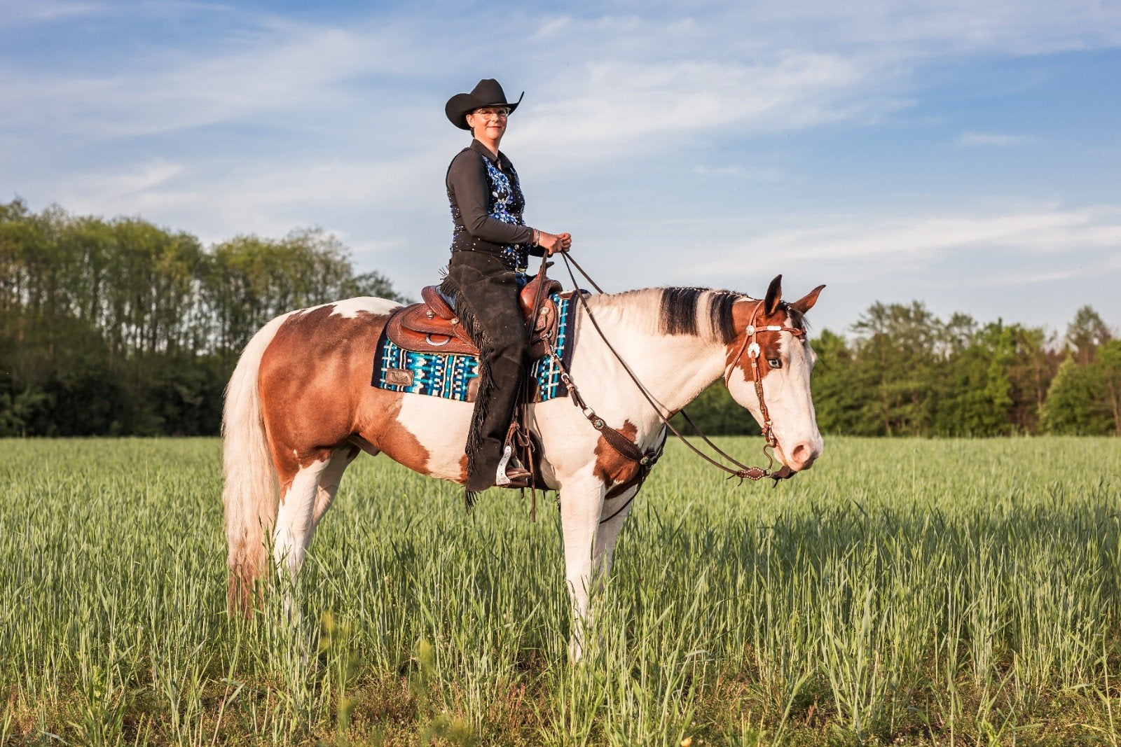 pensionstalling beschikbaar, Weidegang, 1 paard of pony