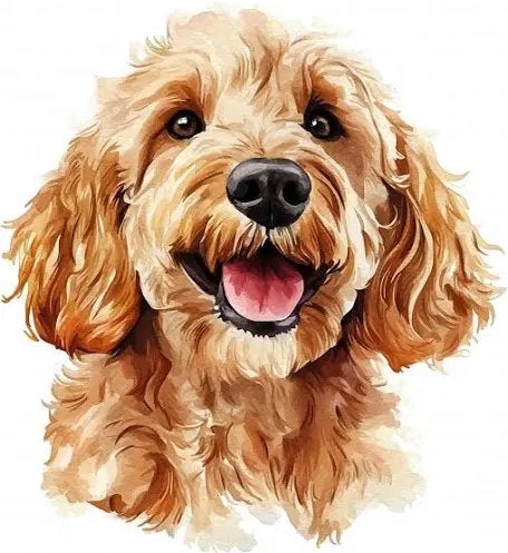 Oppas gezocht voor Golden Doodle pup in Gorinchem, Particuliere oppas