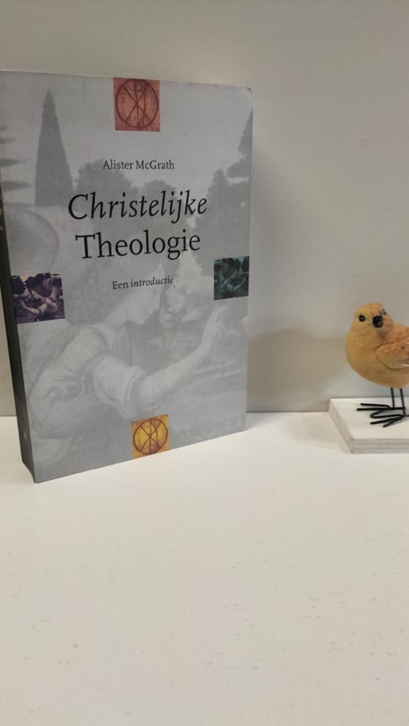 McGrath, Alister; Christelijke Theologie, Ophalen of Verzenden, Gelezen, Christendom | Protestants