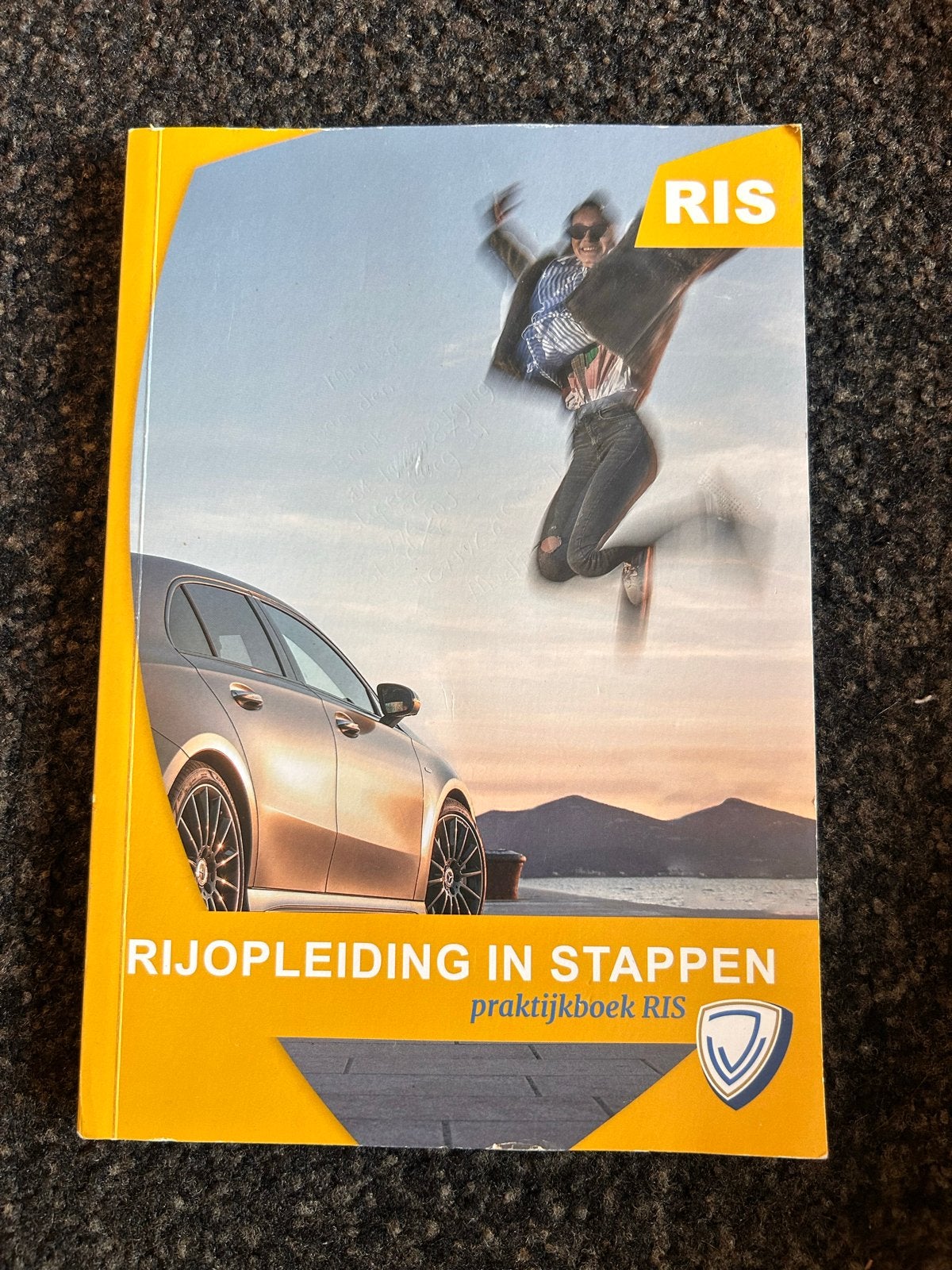 Rijopleiding in Stappen (RIS) Praktijkboek, Boeken, Ophalen of Verzenden, Zo goed als nieuw, Overige niveaus