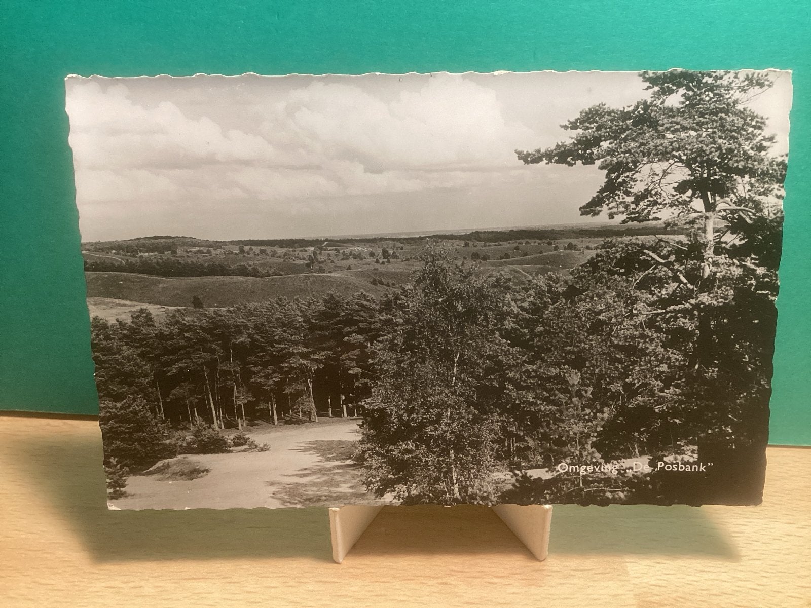 Onbekend Omgeving 't Posbank Gelderland.   281, Verzamelen, Ansichtkaarten | Nederland, Ophalen of Verzenden, 1920 tot 1940, Ongelopen