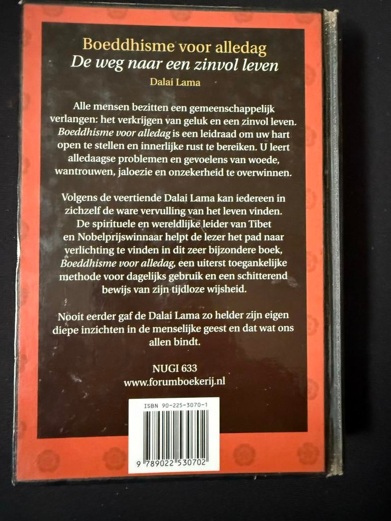 Boeddhisme voor alledag - Dalai Lama, Ophalen of Verzenden, Gelezen, Spiritualiteit algemeen, Achtergrond en Informatie