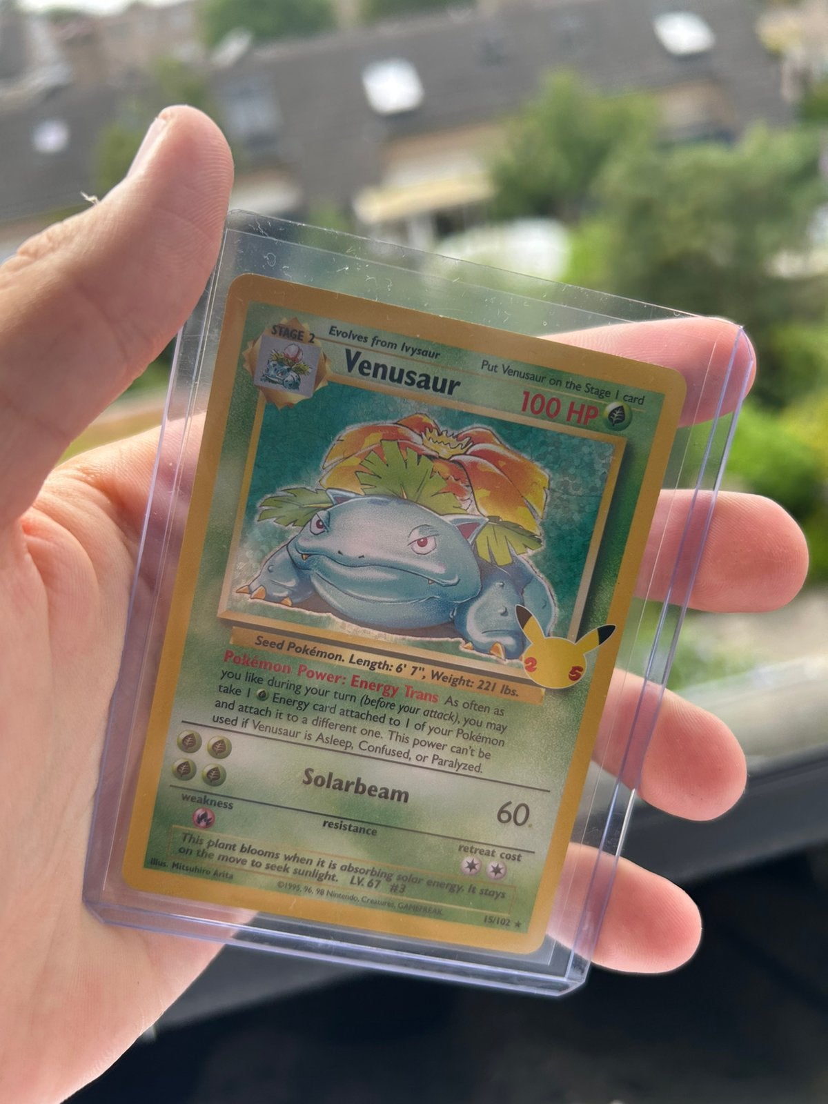 Venusaur – Pokémon Celebrations Classic Collection, Verzenden, Nieuw, Losse kaart, Foil