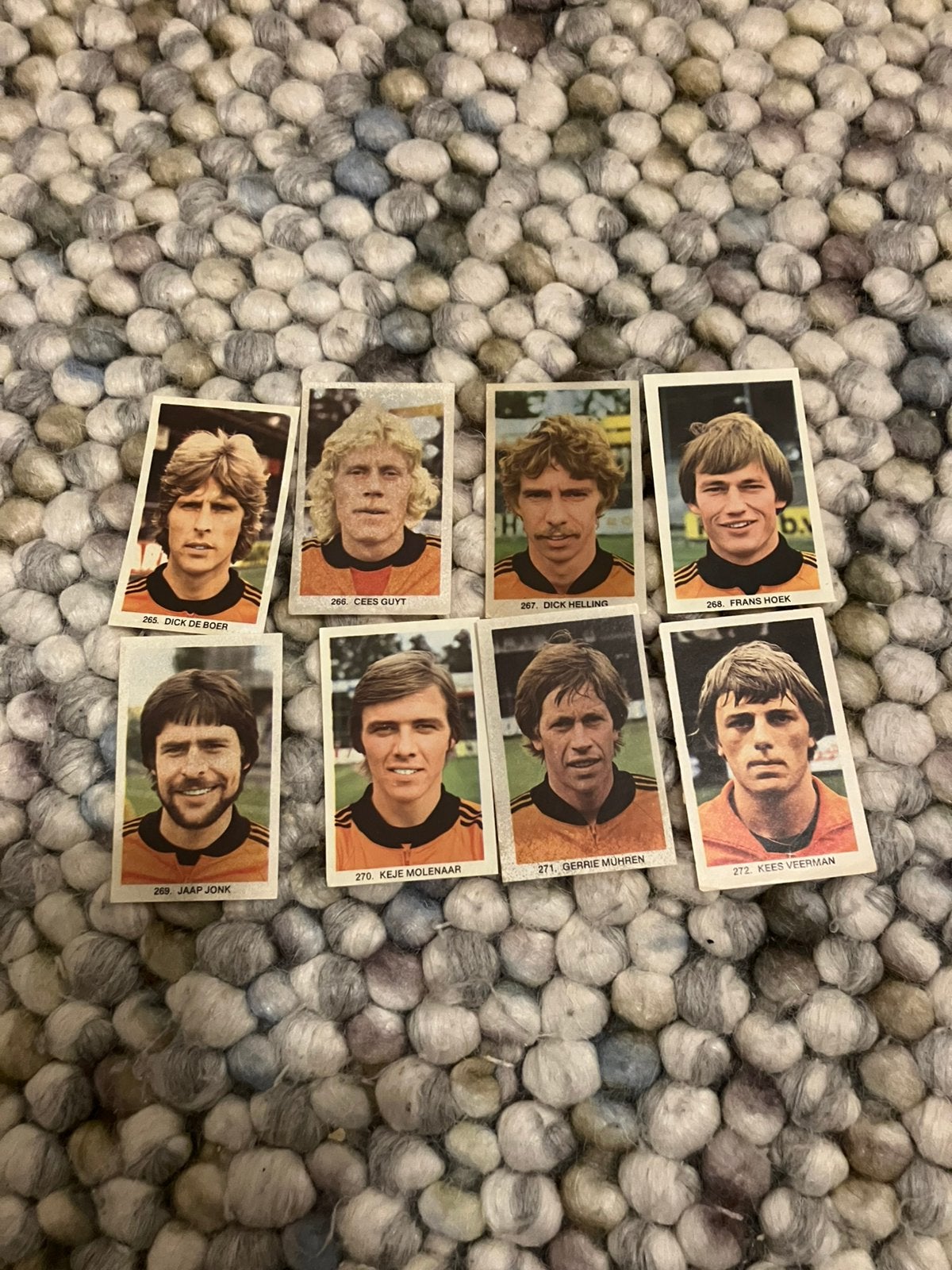 Volendam panini vanderhout 1979-1980, Ophalen of Verzenden, Gebruikt